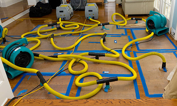 Professional Crawl Space Water Removal technician working in Blue Rock, OH