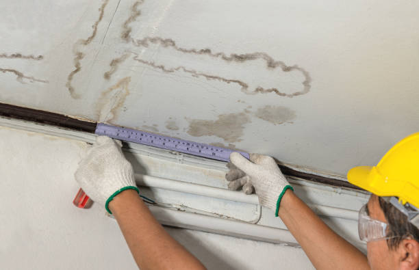 Affordable Water Damage Repair solutions in Blue Rock, OH